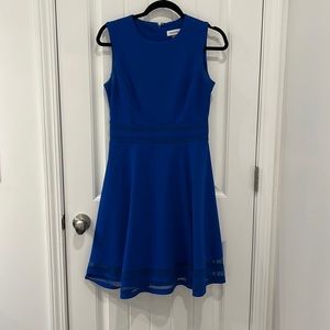 Royal Blue Calvin Klein Dress